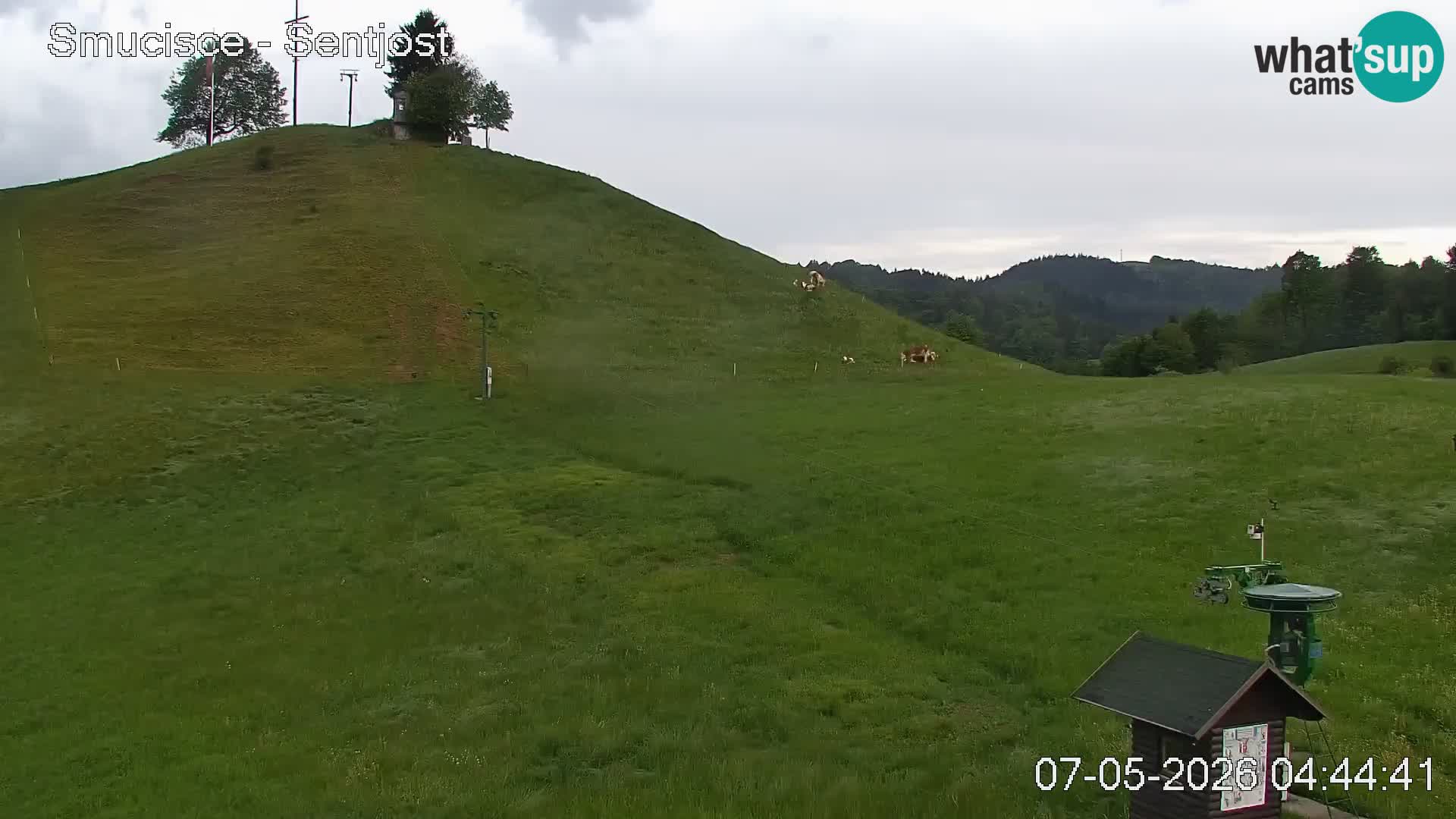 Webcam Šentjošt – Vista en vivo desde la estación de esquí