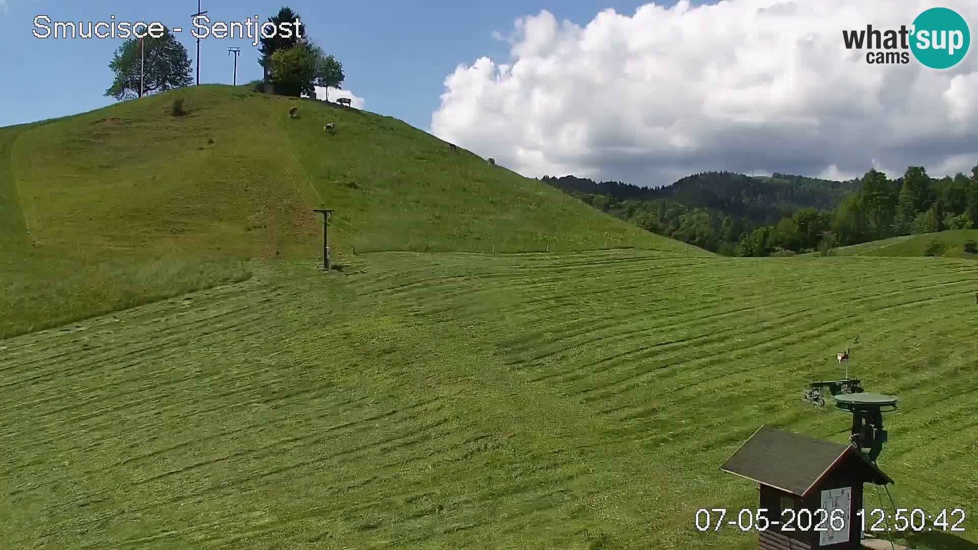 Spletna kamera Šentjošt – Pogled v živo s smučišča