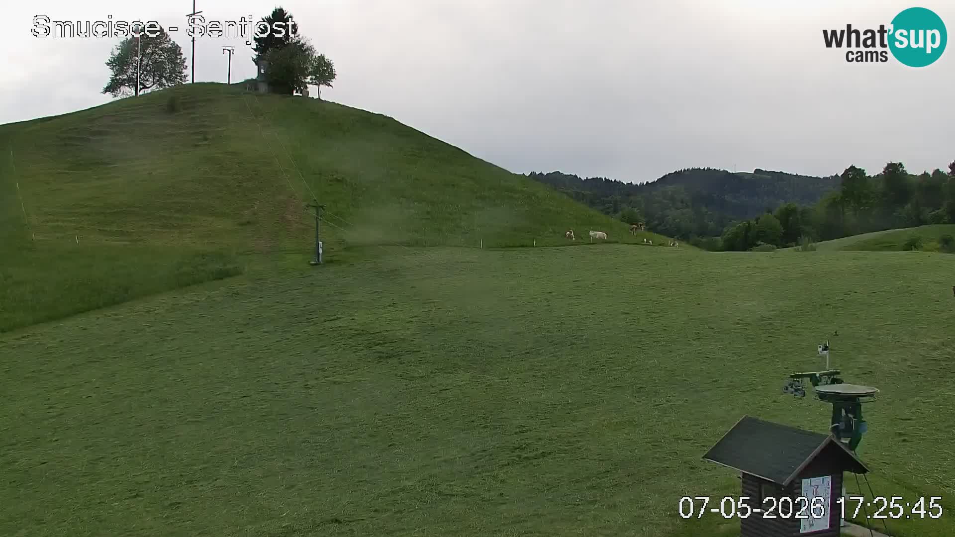 Webcam Šentjošt – Vue en direct depuis la station de ski