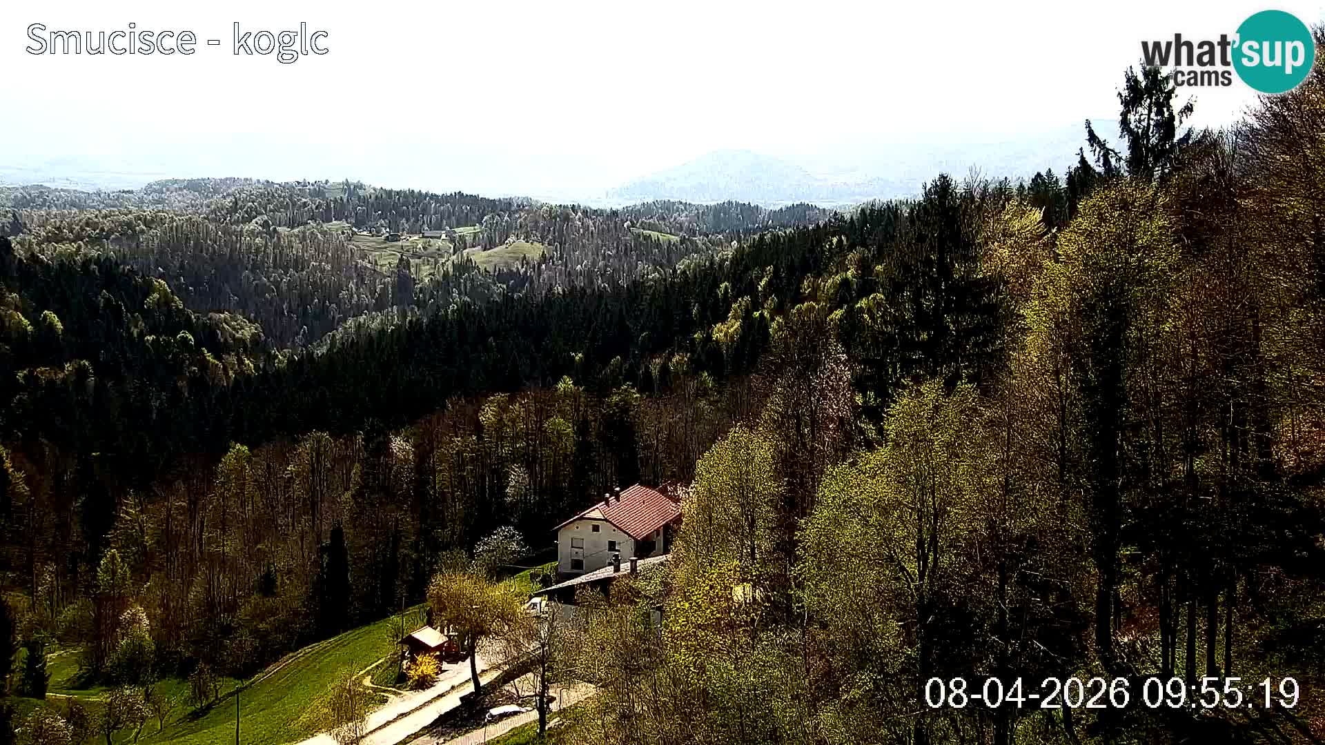 Šentjošt Ski Webcam – Upper Slope Live View