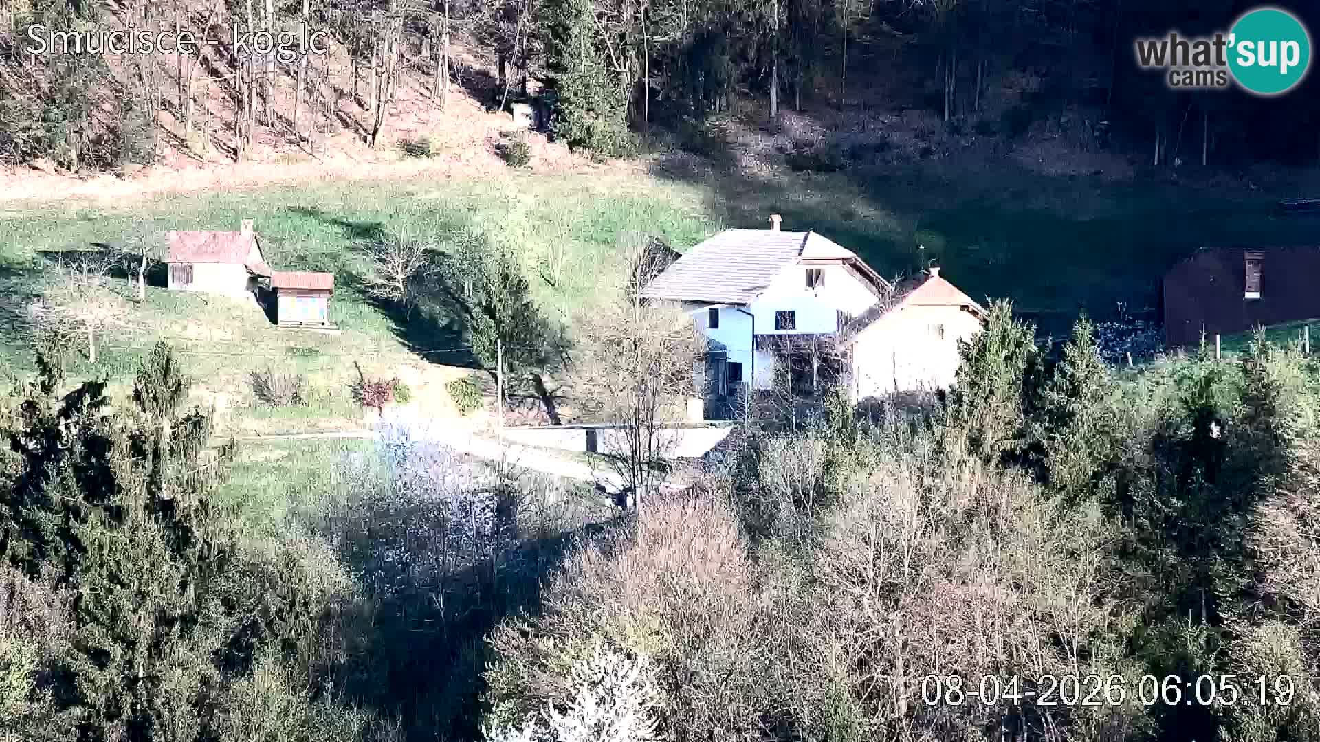 Šentjošt Ski Webcam – Upper Slope Live View