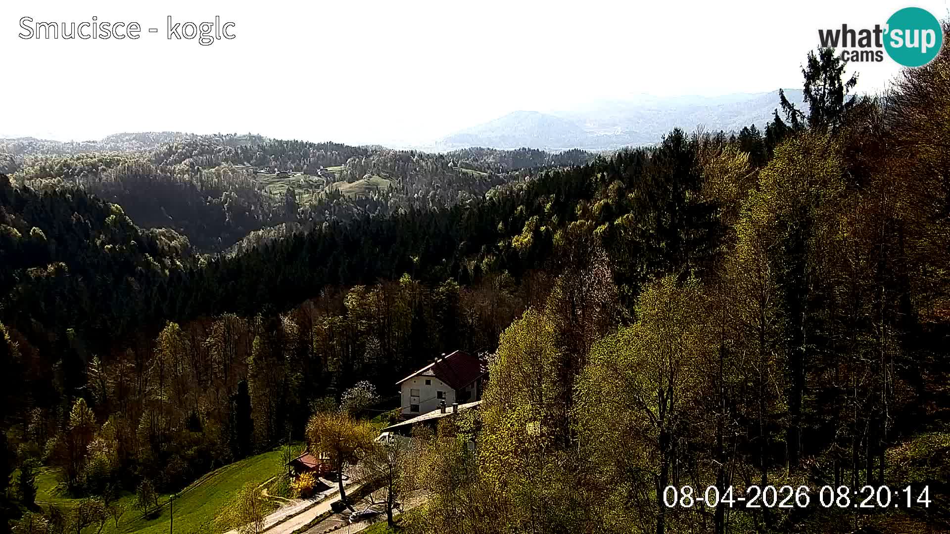 Web kamera Šentjošt skijalište – Pogled uživo na gornji dio staze