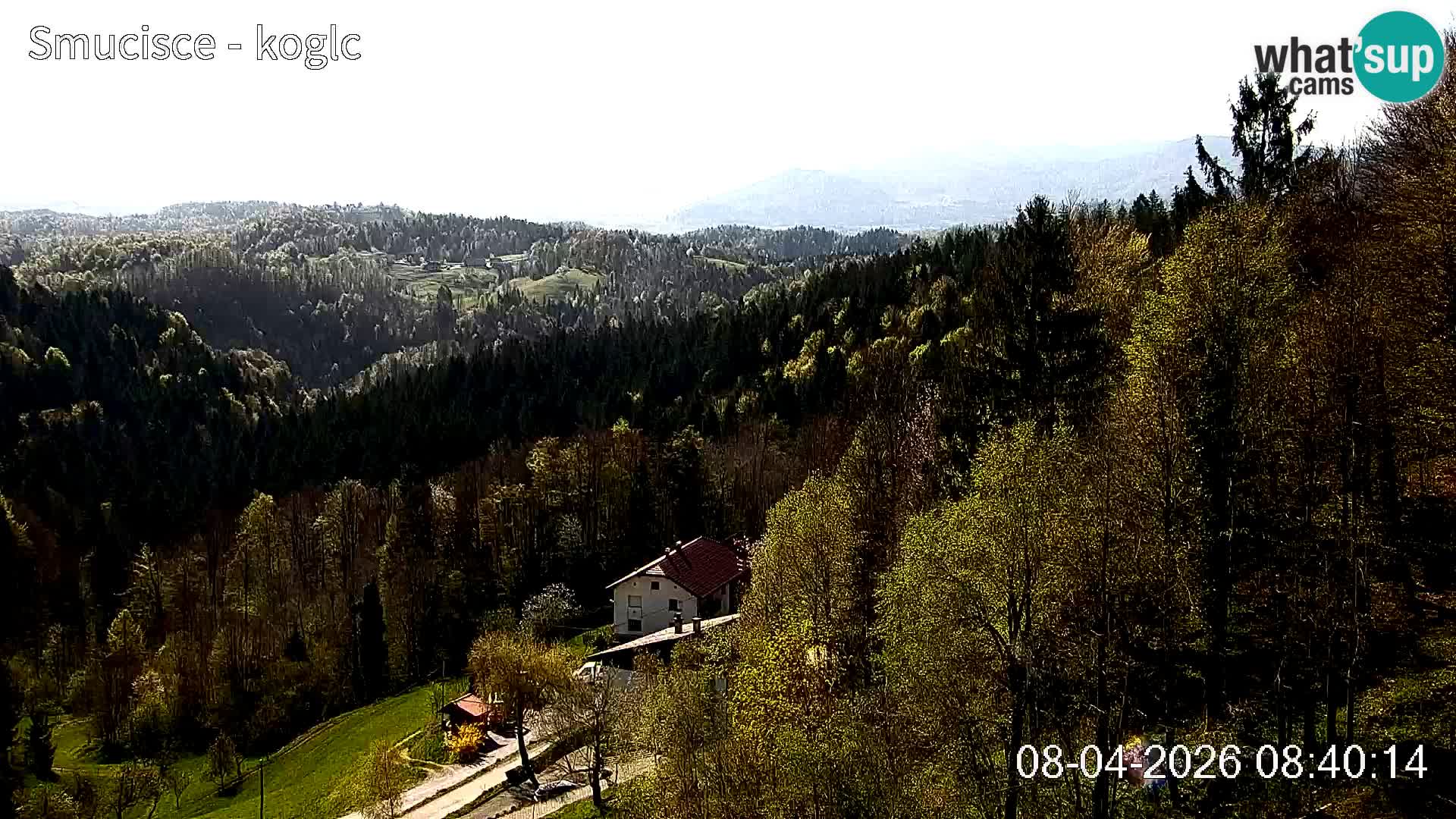 Webcam Šentjošt sci – Vista live sulla parte alta della pista