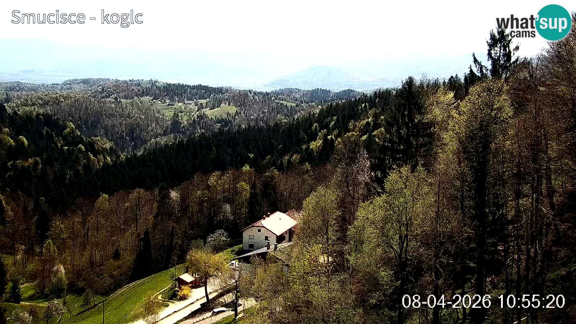 Webcam Šentjošt sci – Vista live sulla parte alta della pista