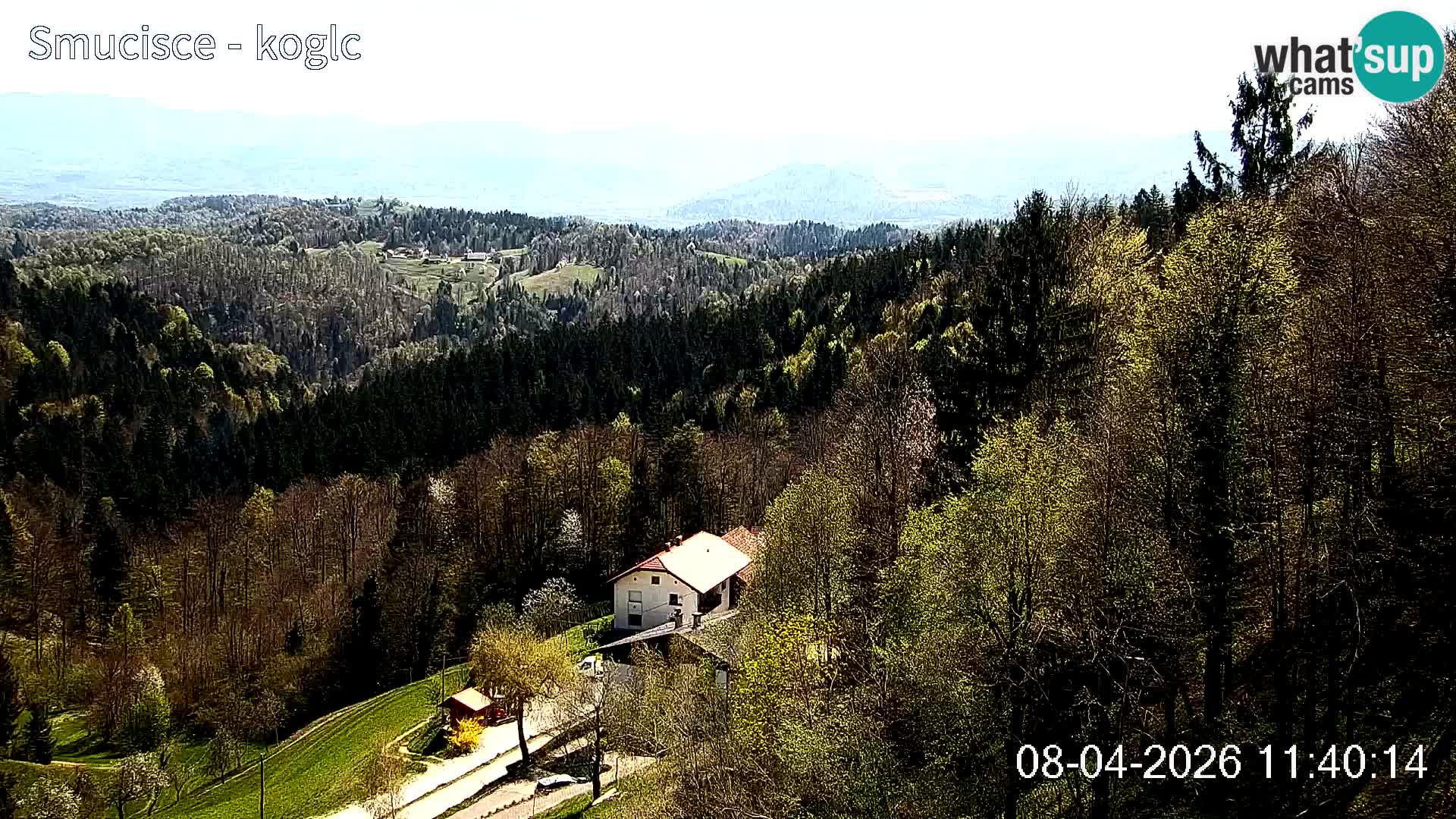 Spletna kamera Šentjošt smučišče – Pogled v živo na zgornji del proge