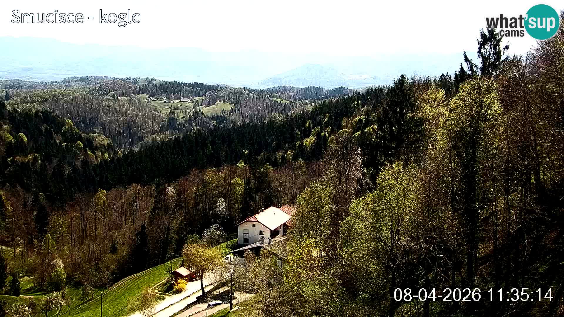 Šentjošt Ski Webcam – Upper Slope Live View