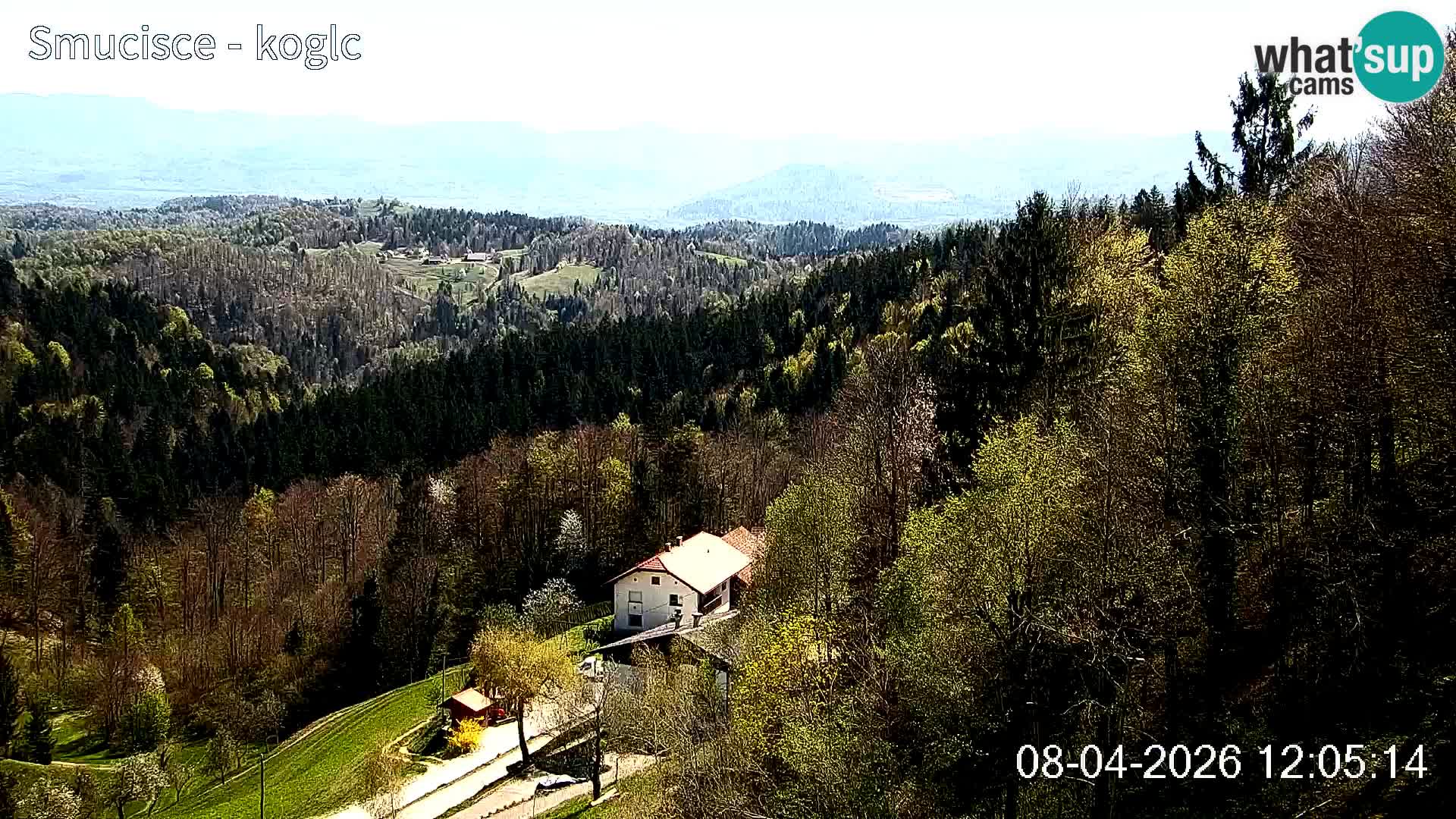 Šentjošt Ski Webcam – Upper Slope Live View