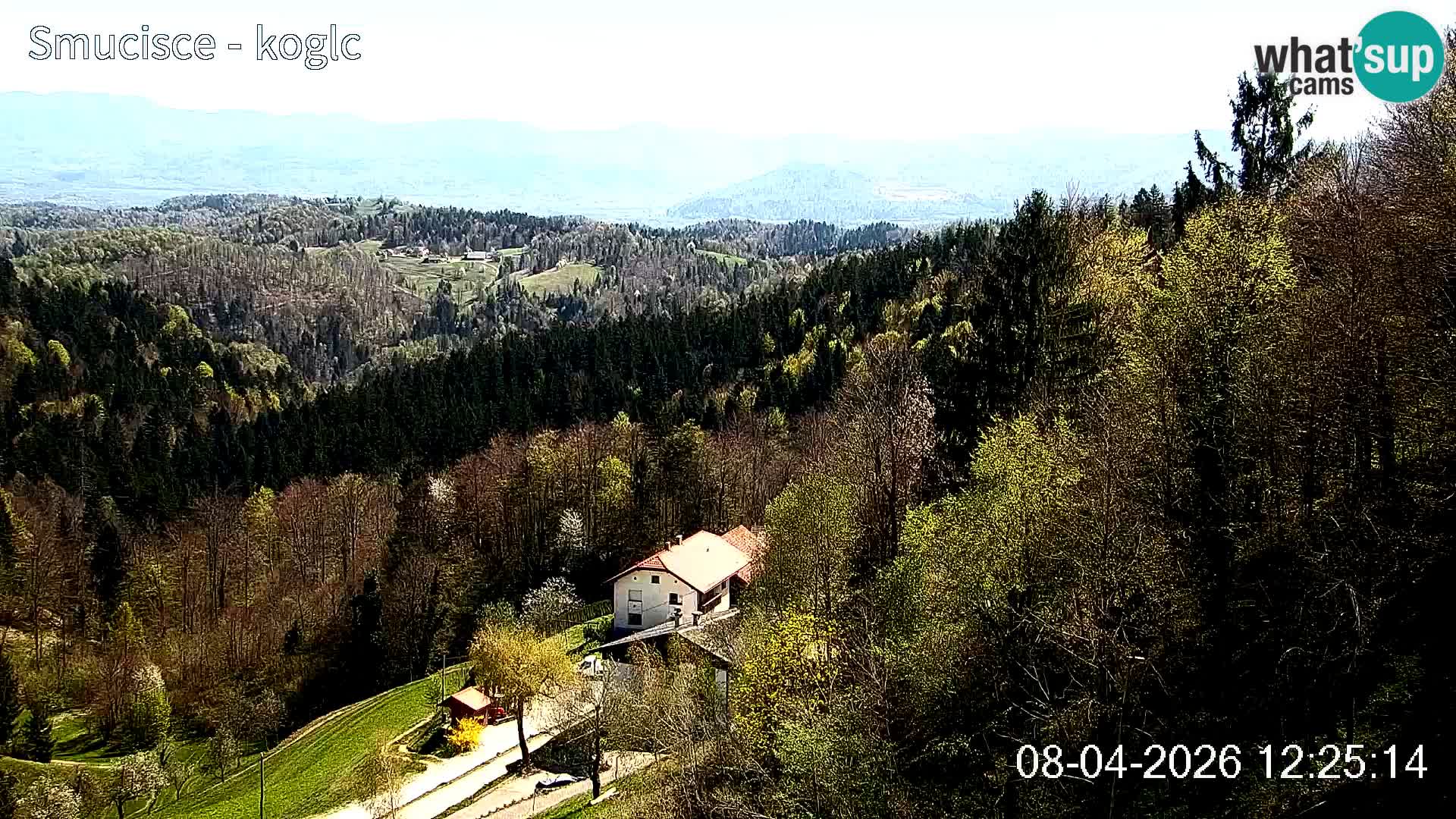 Webcam Šentjošt sci – Vista live sulla parte alta della pista