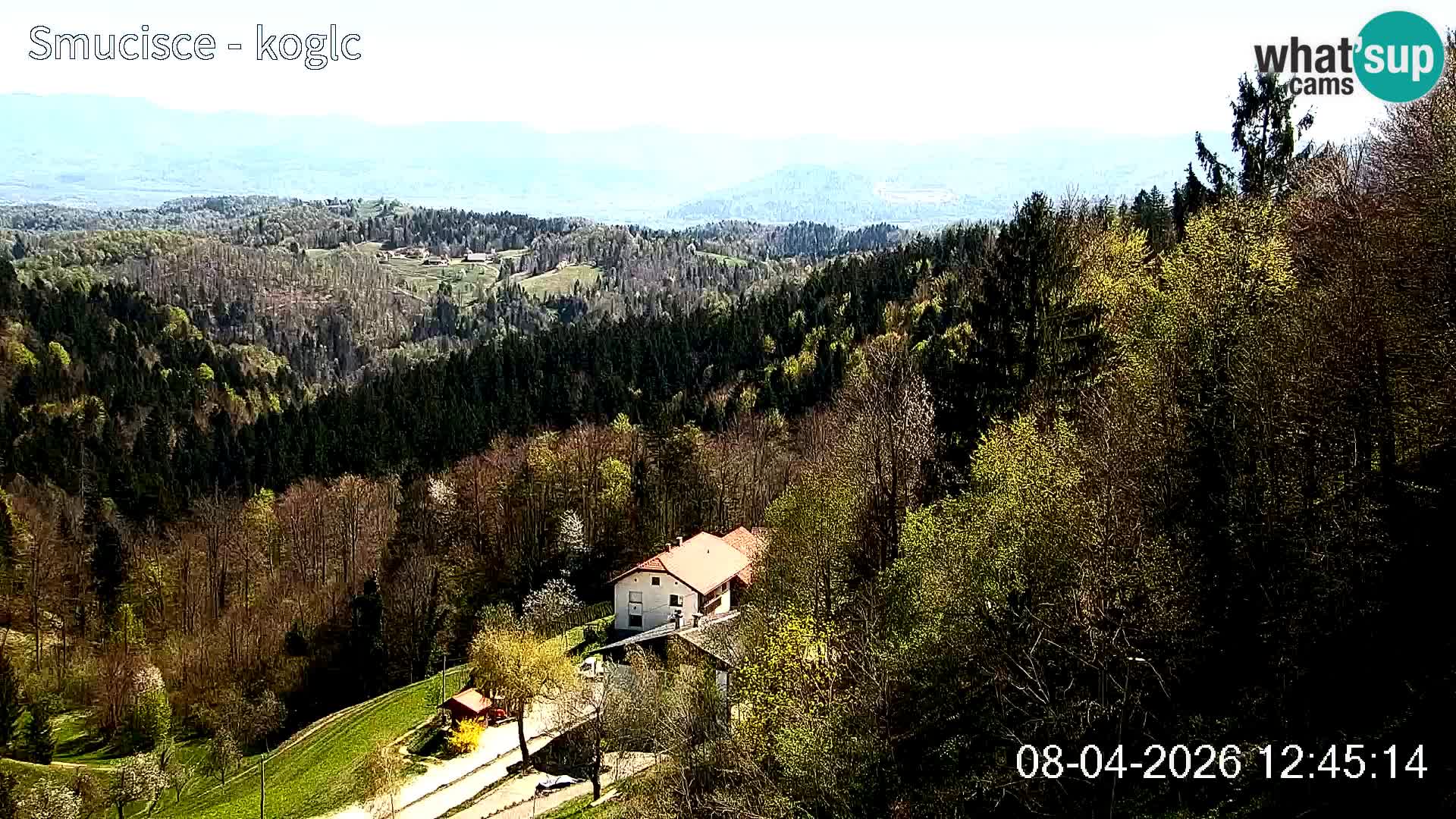 Webcam Šentjošt sci – Vista live sulla parte alta della pista