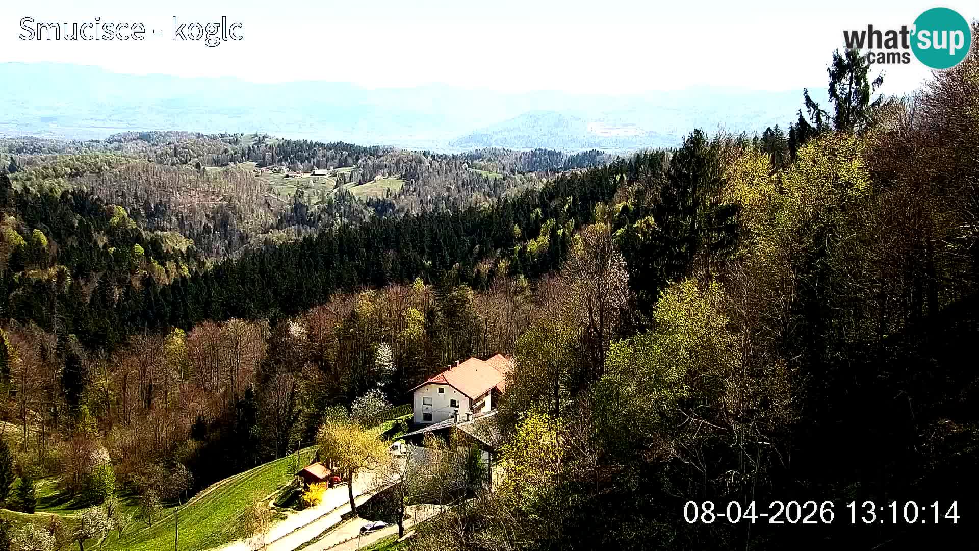 Webcam station de ski Šentjošt – Vue en direct des pistes supérieures