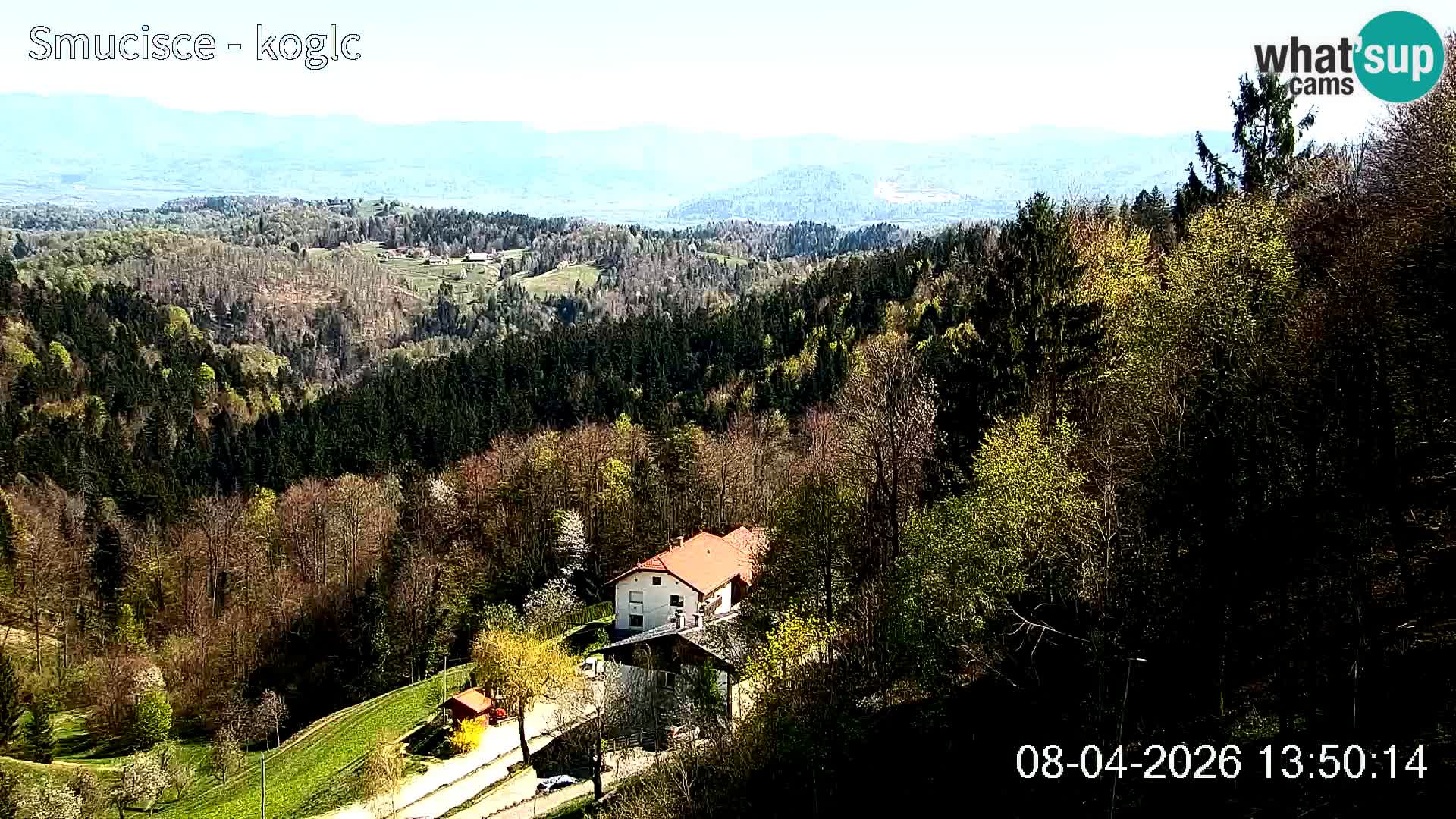 Skikamera Šentjošt – Liveblick auf den oberen Pistenbereich