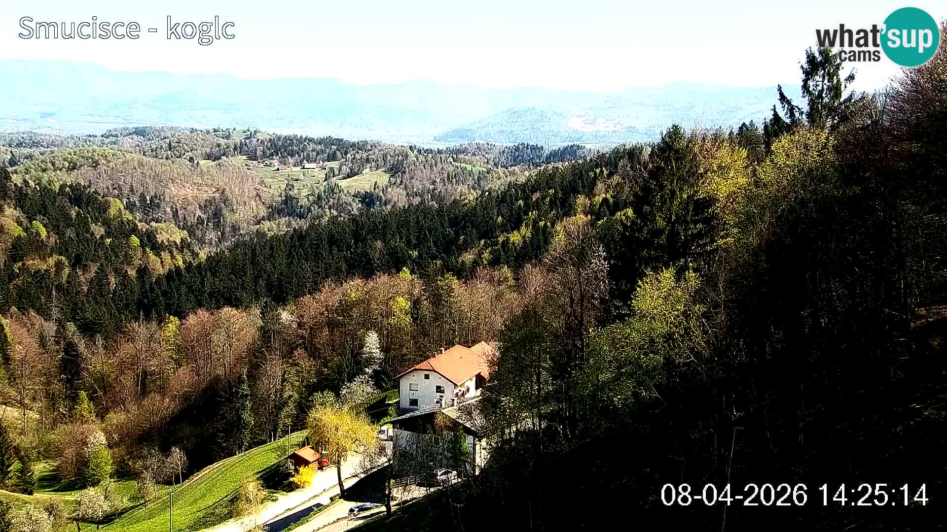 Webcam estación de esquí Šentjošt – Vista en vivo de la pista superior