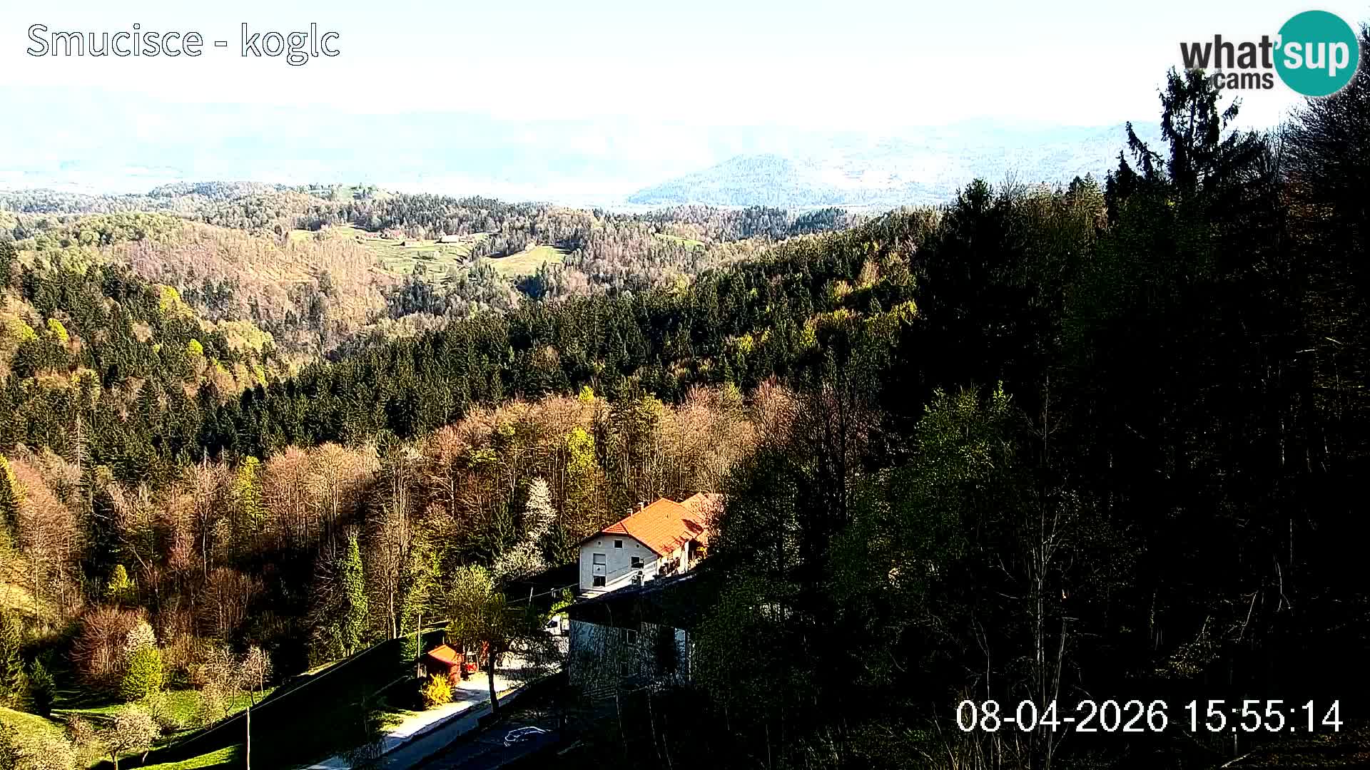 Šentjošt Ski Webcam – Upper Slope Live View