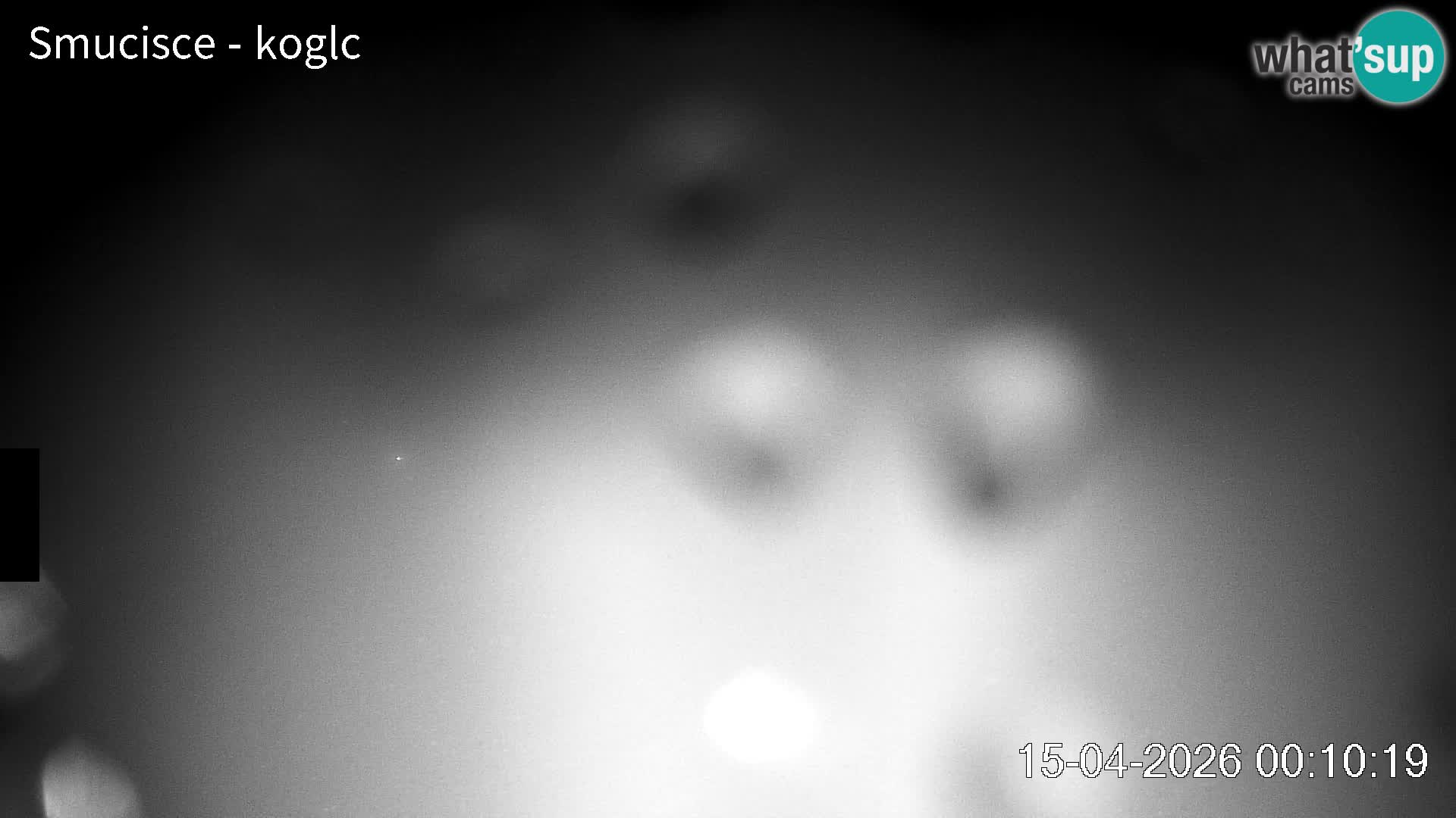 Šentjošt Ski Webcam – Upper Slope Live View