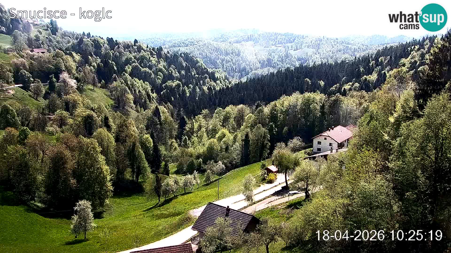 Spletna kamera Šentjošt smučišče – Pogled v živo na zgornji del proge