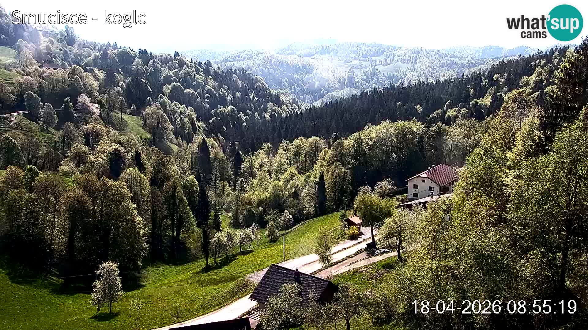 Šentjošt Ski Webcam – Upper Slope Live View