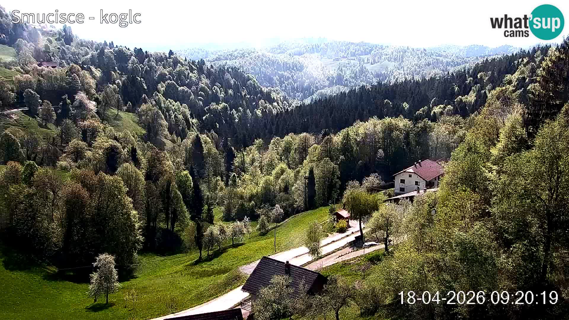 Skikamera Šentjošt – Liveblick auf den oberen Pistenbereich