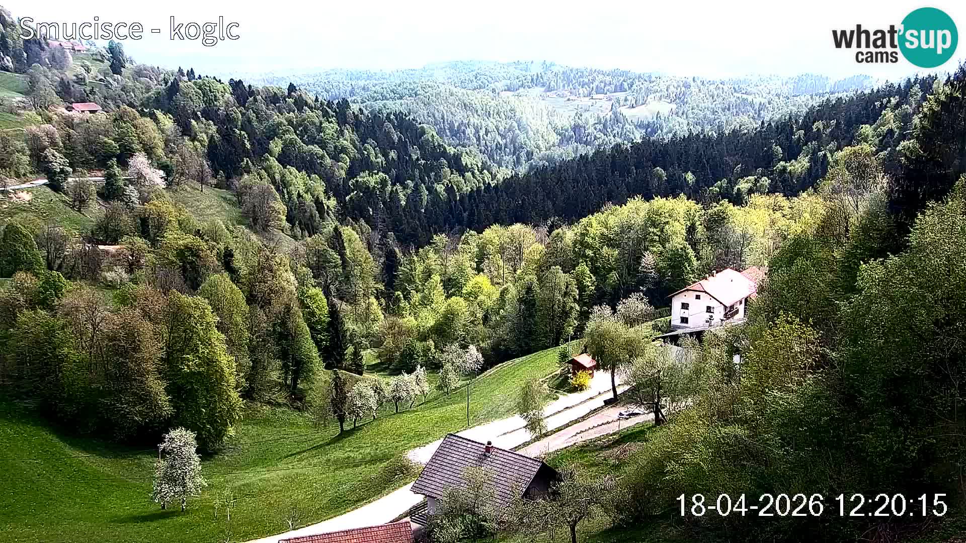 Šentjošt Ski Webcam – Upper Slope Live View