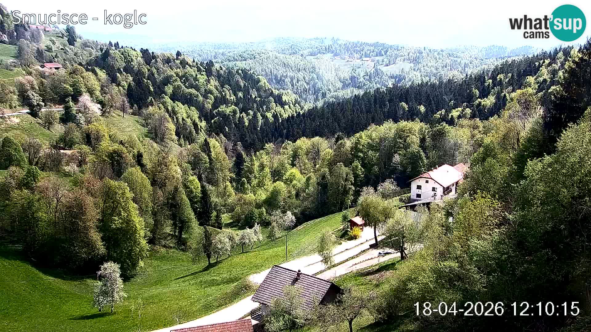 Spletna kamera Šentjošt smučišče – Pogled v živo na zgornji del proge