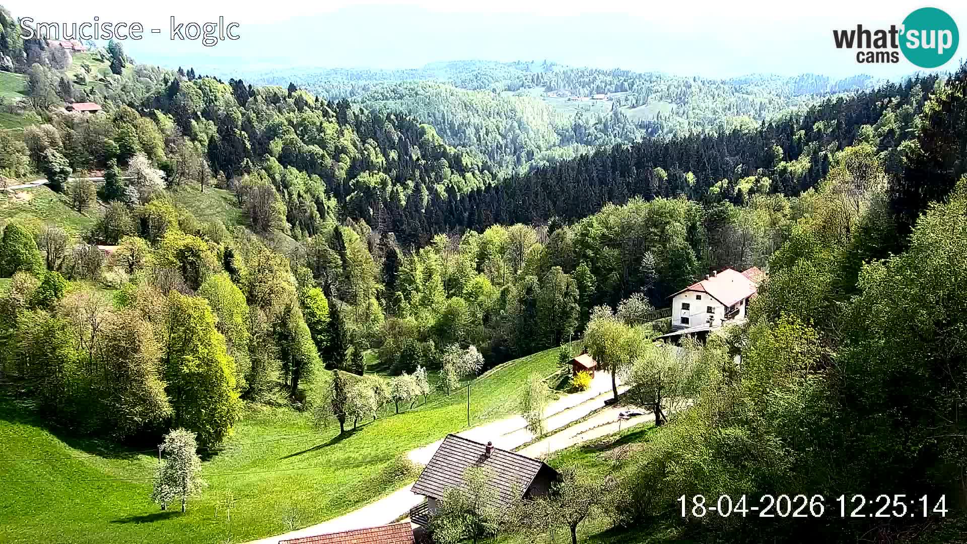 Spletna kamera Šentjošt smučišče – Pogled v živo na zgornji del proge