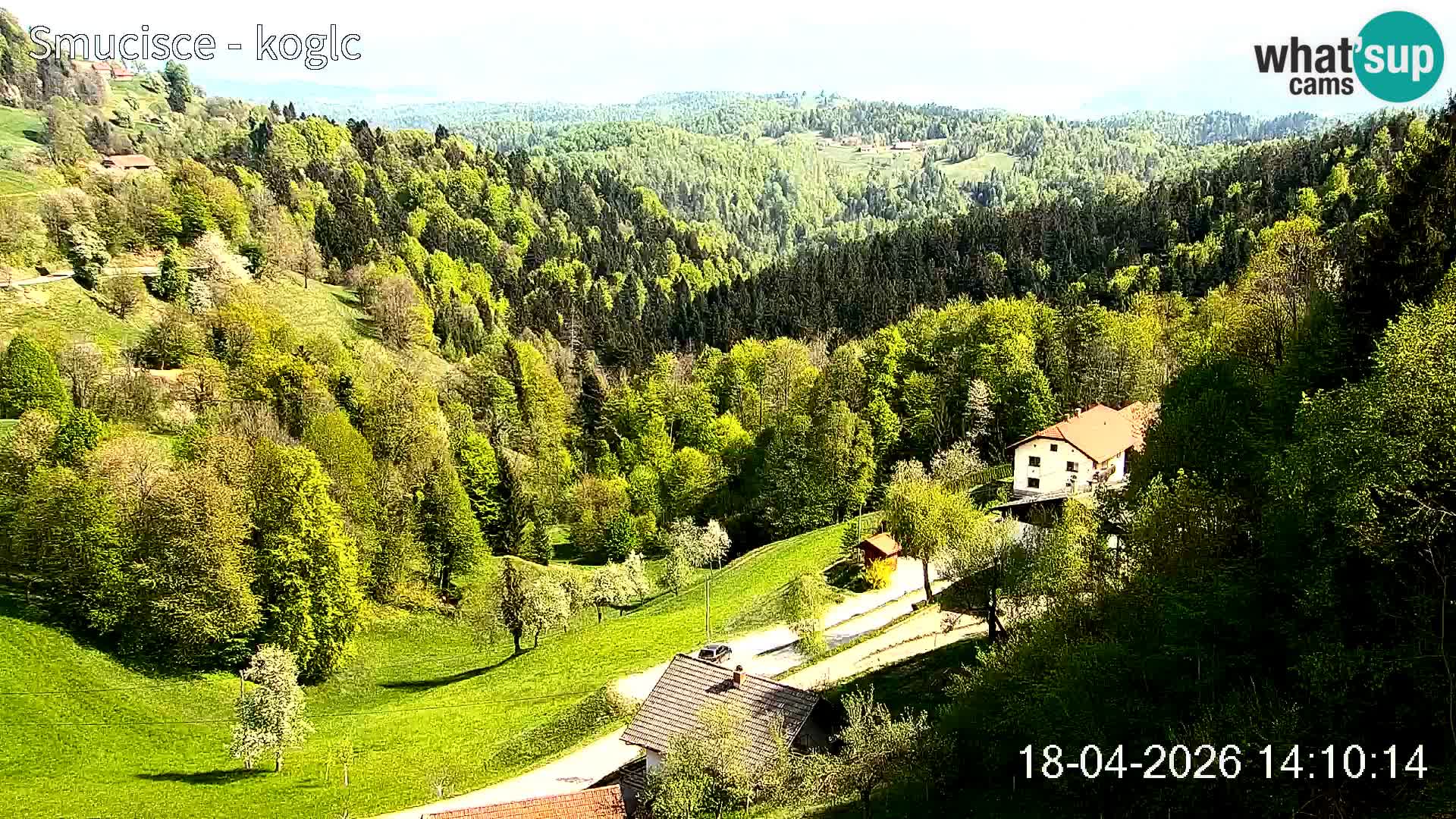 Skikamera Šentjošt – Liveblick auf den oberen Pistenbereich