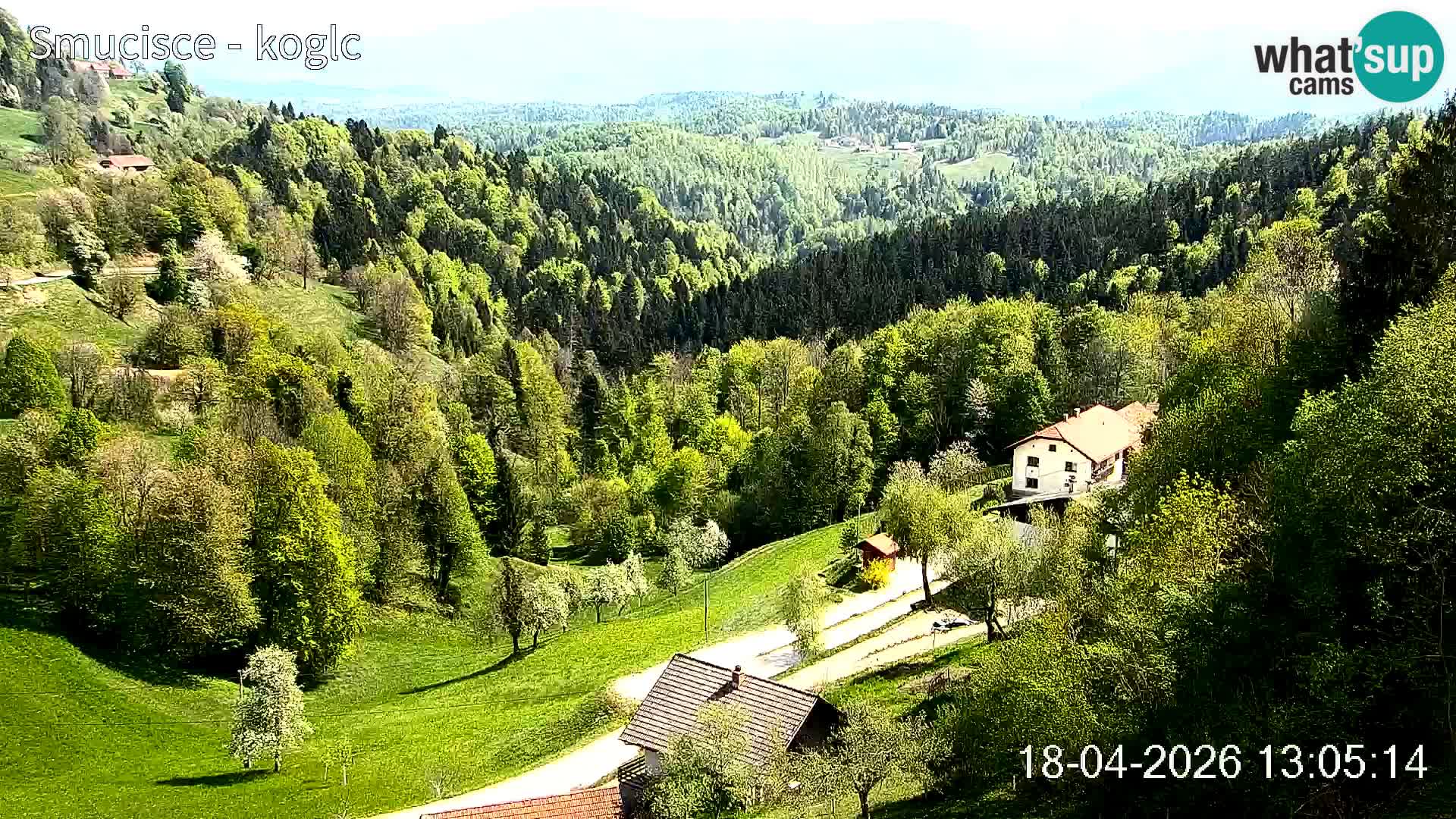 Šentjošt Ski Webcam – Upper Slope Live View