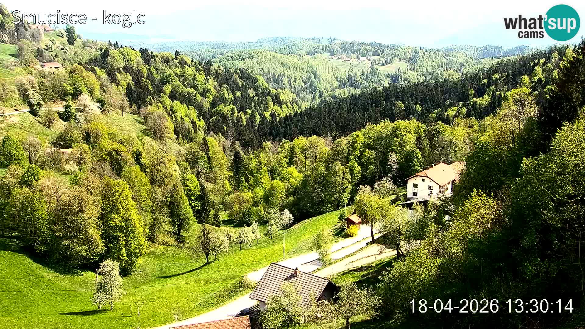 Šentjošt Ski Webcam – Upper Slope Live View
