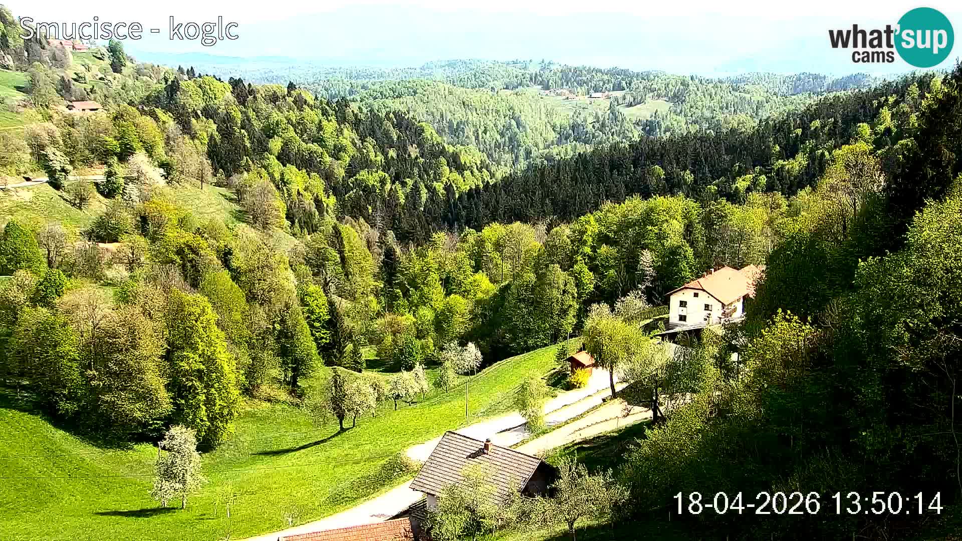 Šentjošt Ski Webcam – Upper Slope Live View