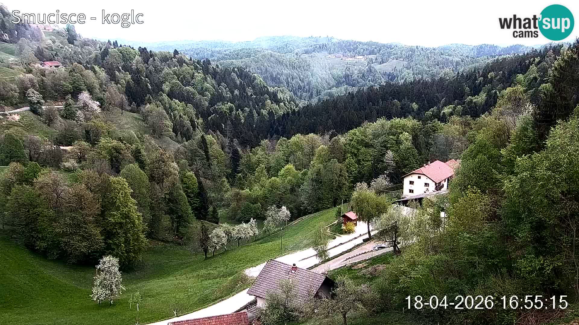 Webcam Šentjošt sci – Vista live sulla parte alta della pista