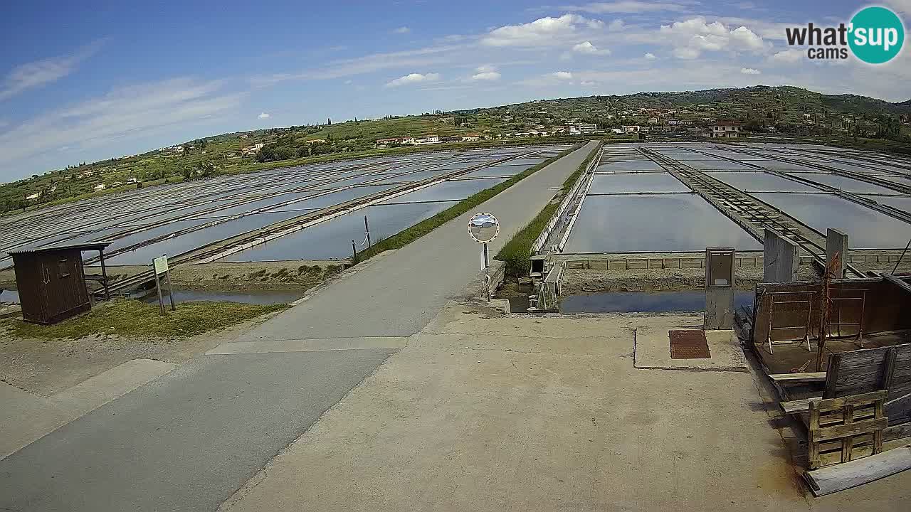 Parco Naturale Saline di Sicciole