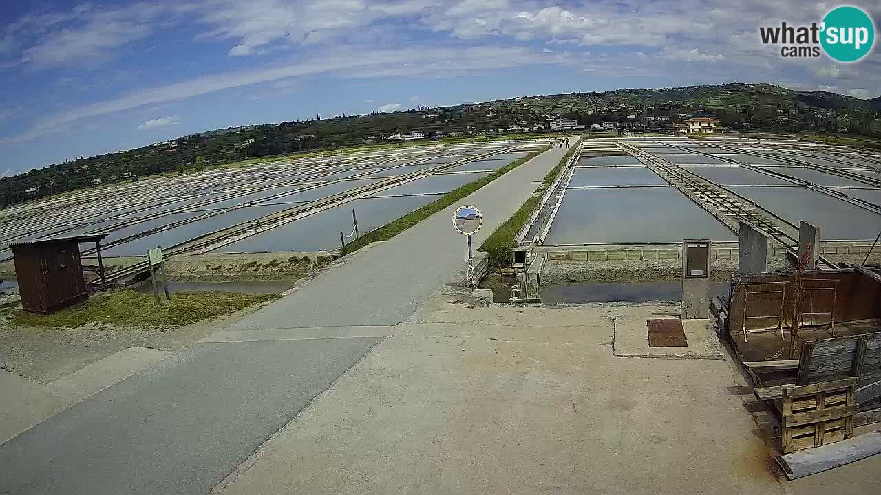 Park prirode Sečovlje Salina