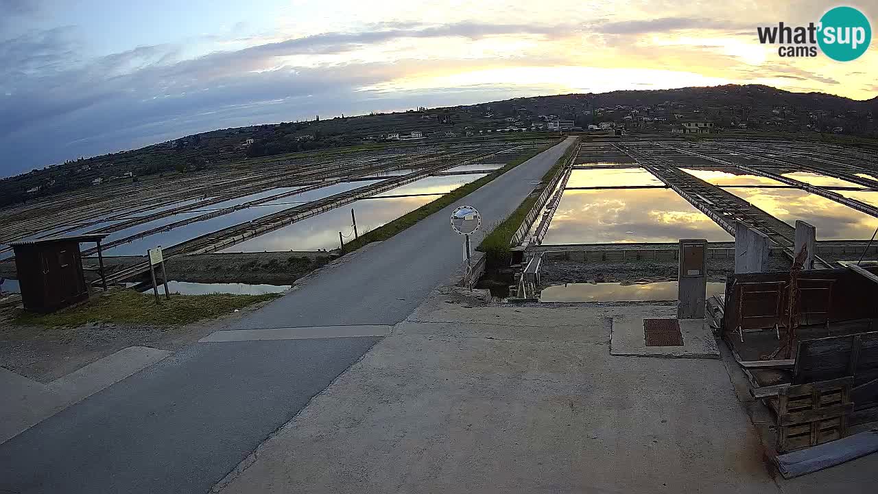 Parco Naturale Saline di Sicciole