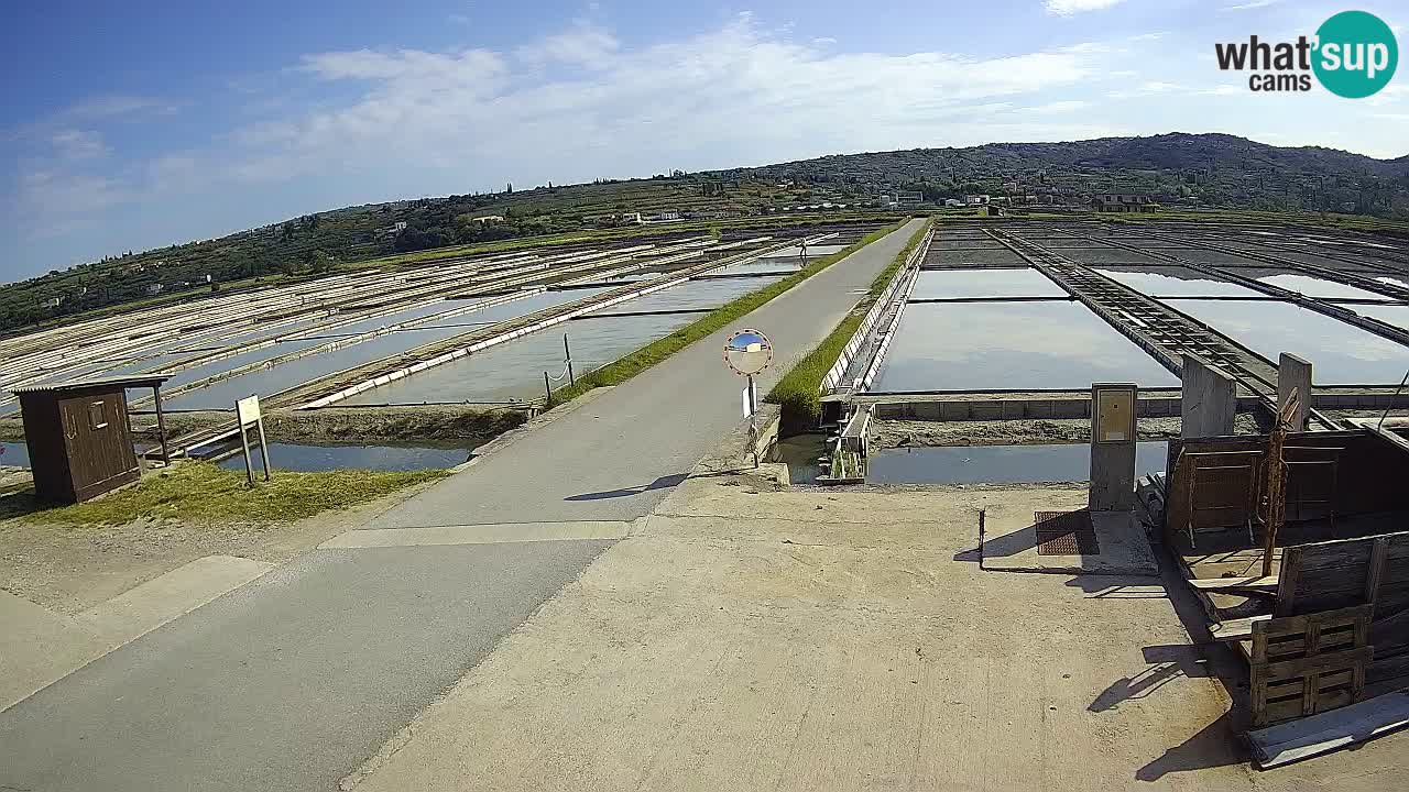 ﻿Sečovlje Salina Nature Park – KPSS