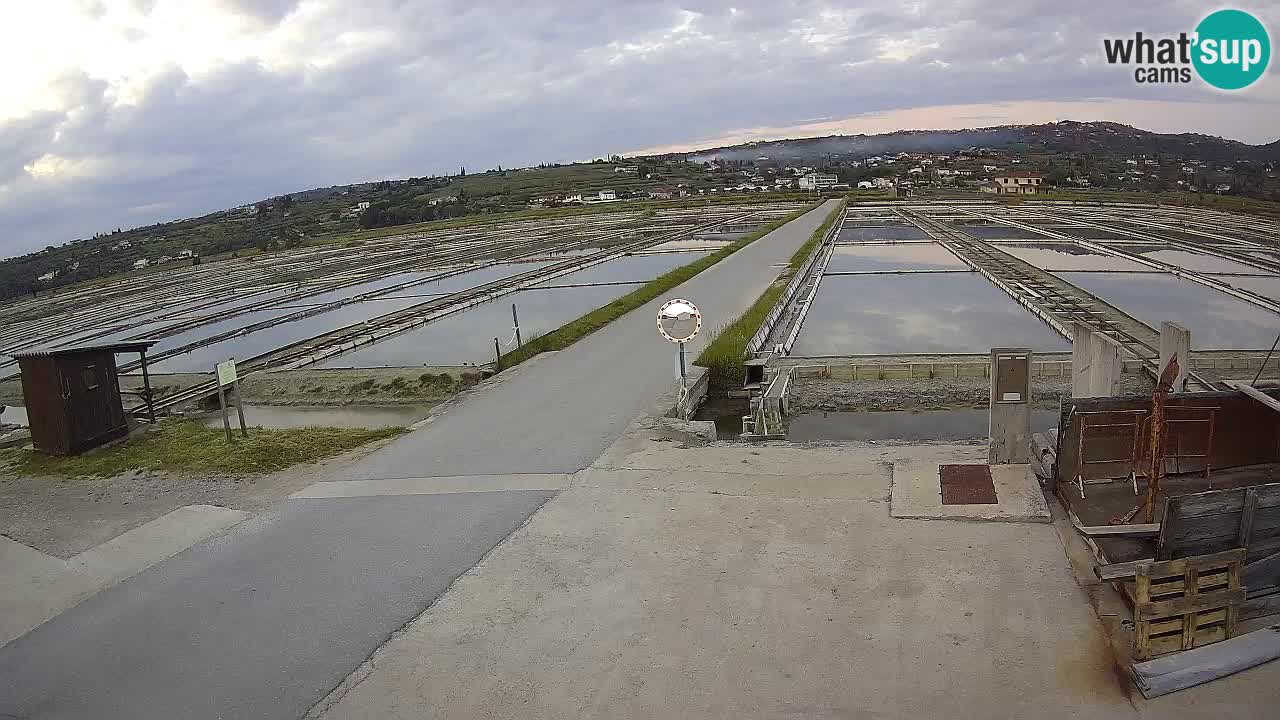 Krajinski Park Sečoveljske Soline