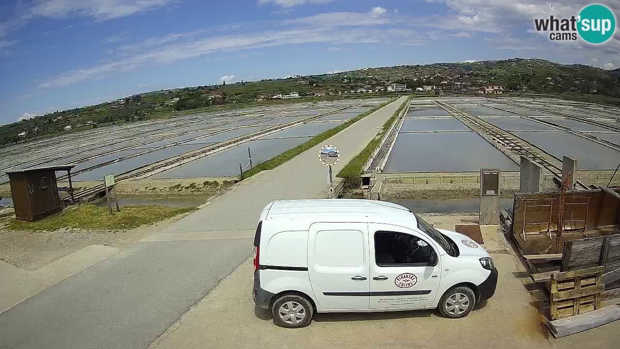 ﻿Sečovlje Salina Nature Park – KPSS