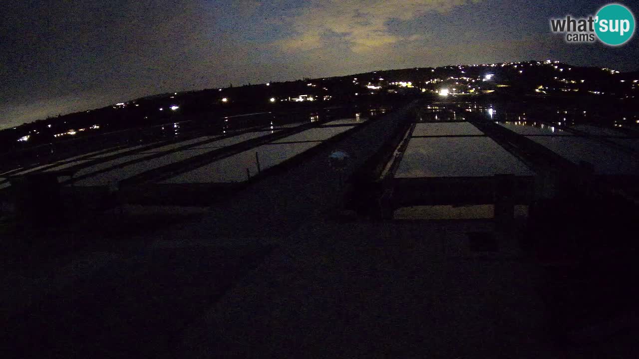 Park prirode Sečovlje Salina