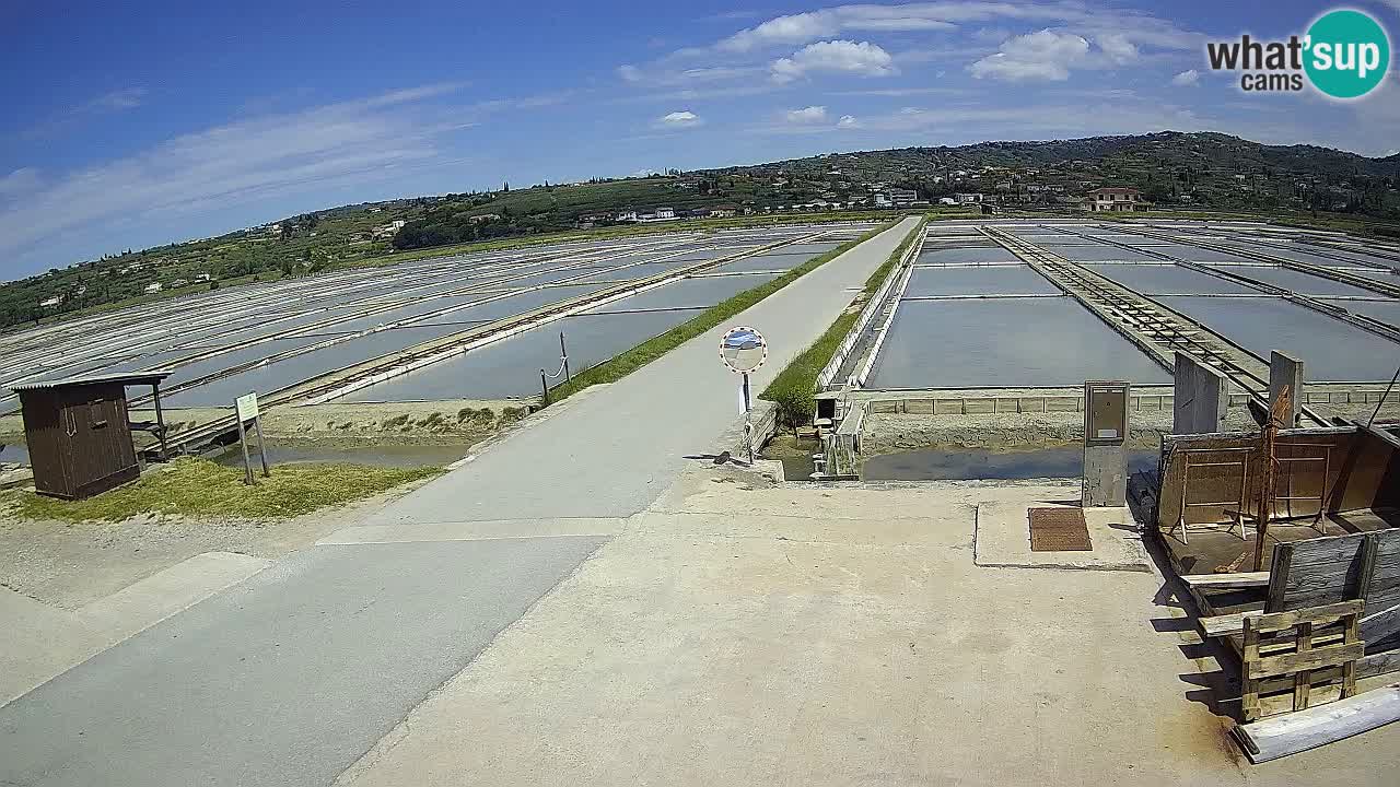 Sečovlje Salina Parque Natural