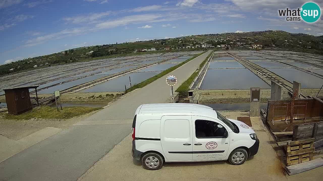 Sezza – Panorama e le saline