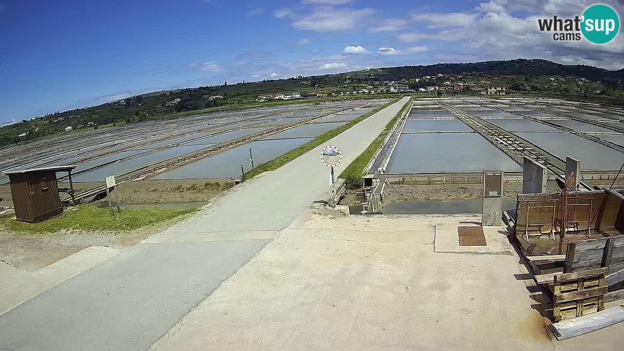 Parco Naturale Saline di Sicciole