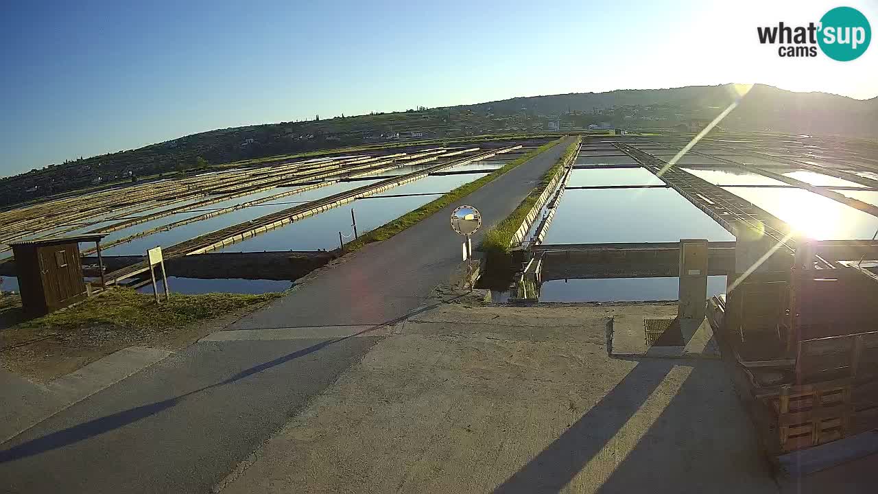 ﻿Sečovlje Salina Nature Park – KPSS