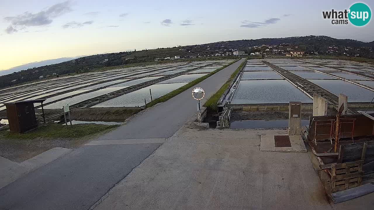 Krajinski Park Sečoveljske Soline