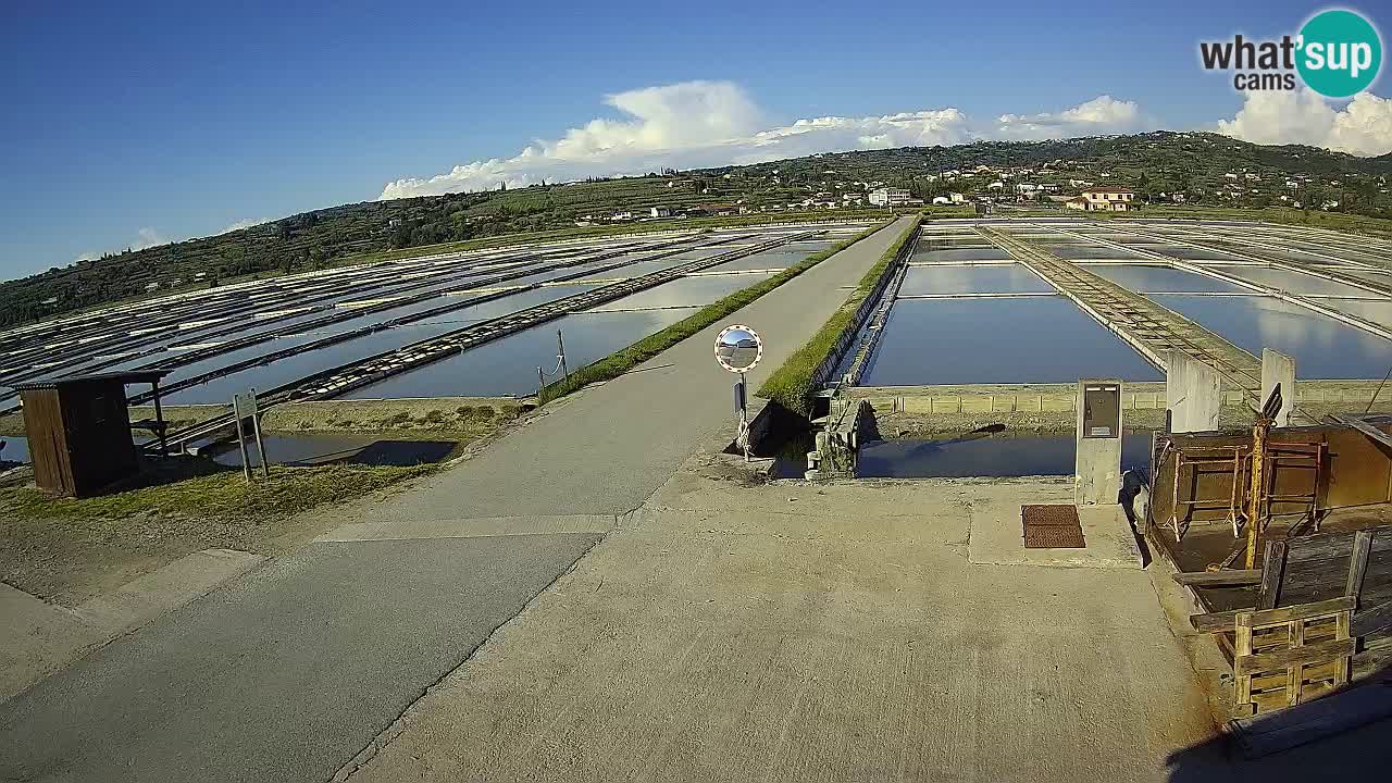 ﻿Sečovlje Salina Nature Park – KPSS