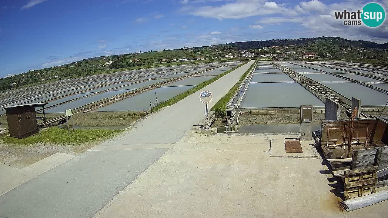 ﻿Sečovlje Salina Nature Park – KPSS