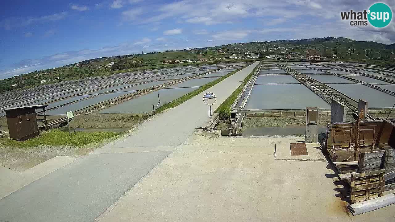 Parco Naturale Saline di Sicciole