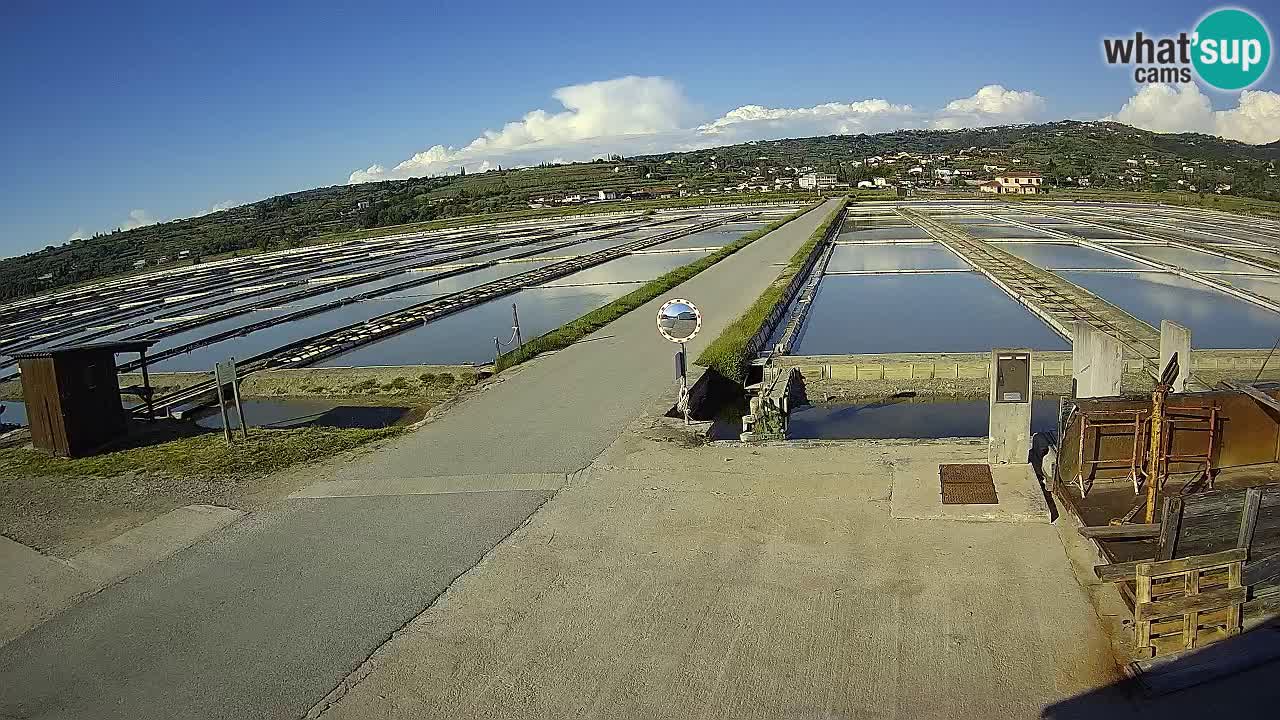 Sečovlje Salina Parque Natural