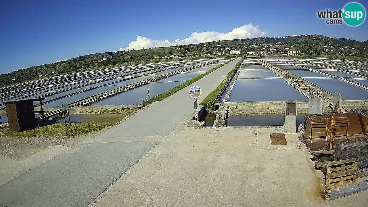 Sečovlje Salina Parque Natural