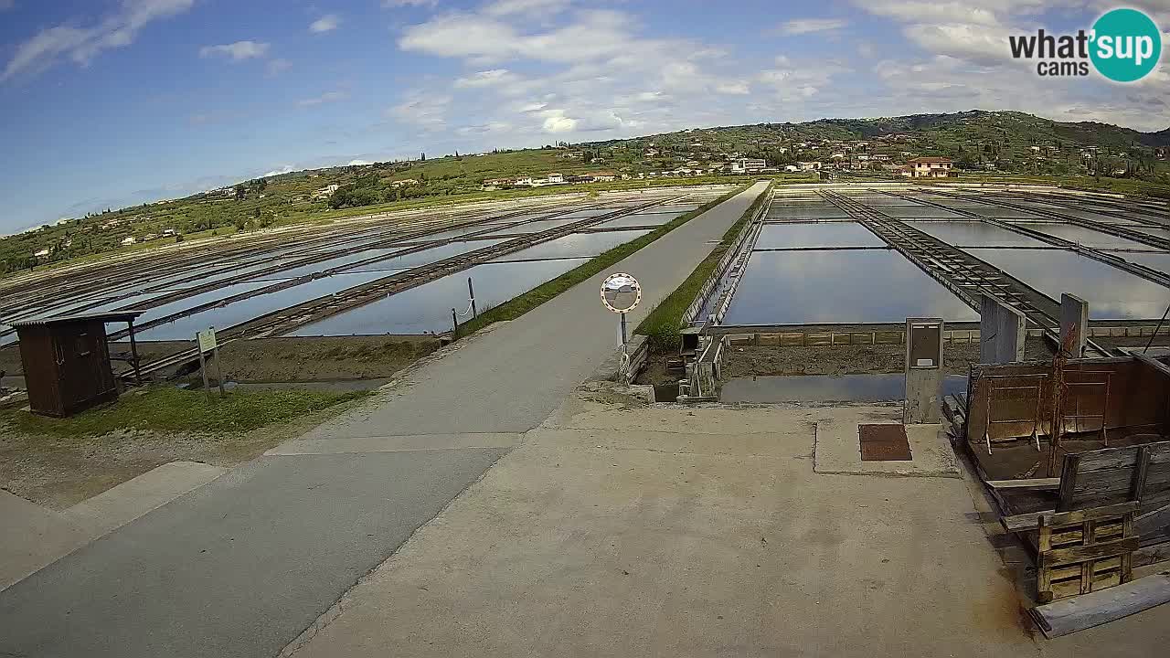﻿Sečovlje Salina Nature Park – KPSS
