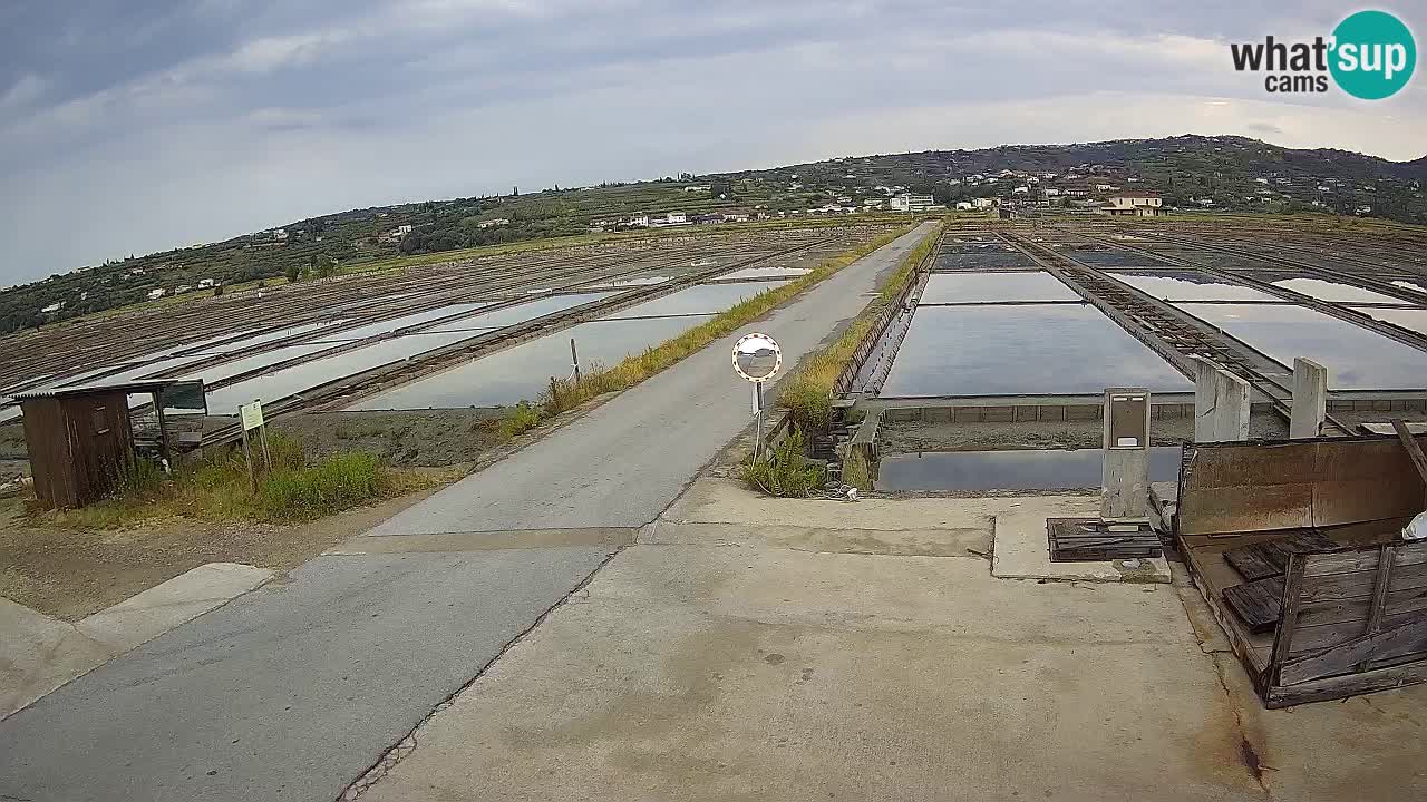 ﻿Sečovlje Salina Nature Park – KPSS