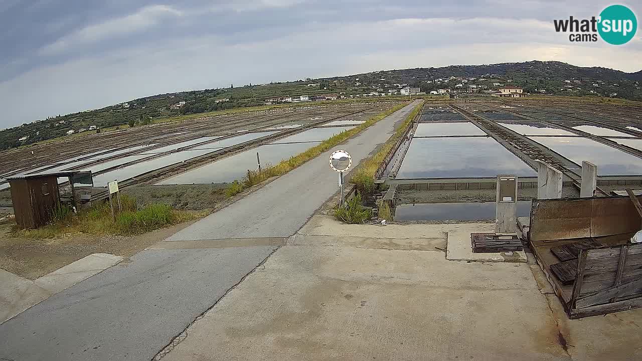 Sezza – Panorama e le saline