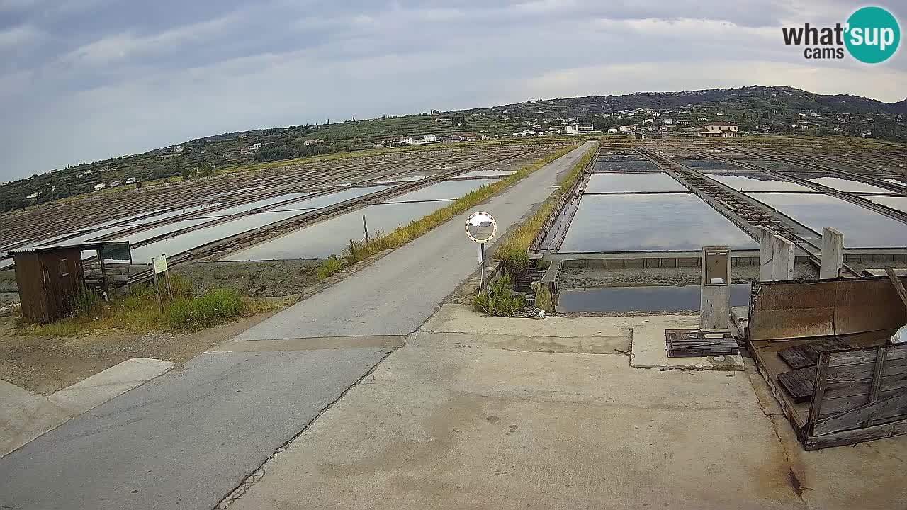 Sezza – Panorama e le saline